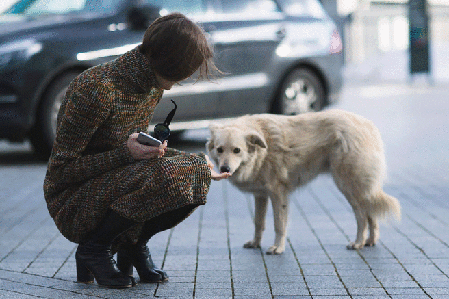 100  streetstyle- 2016 